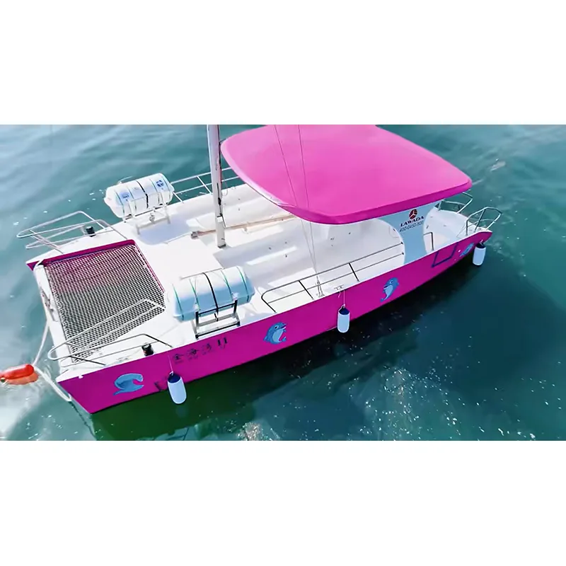 30ft kommersiell katamaran